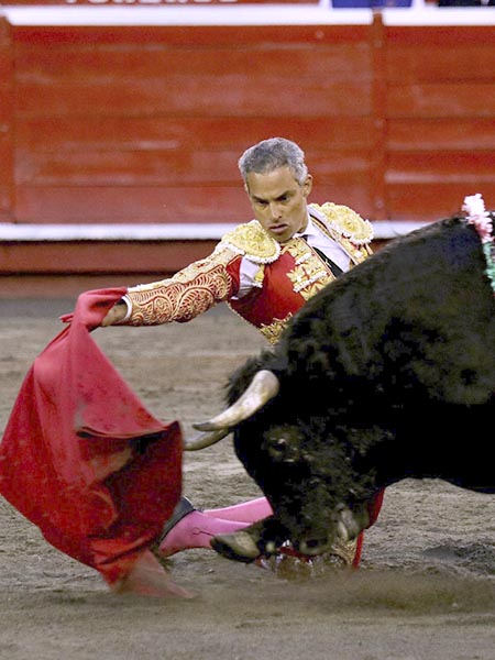 Pr�logo rodilla en tierra