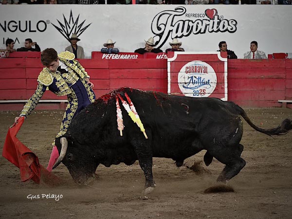 La faena del hispano