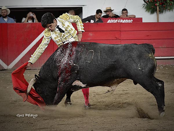 Luci� en su segundo turno