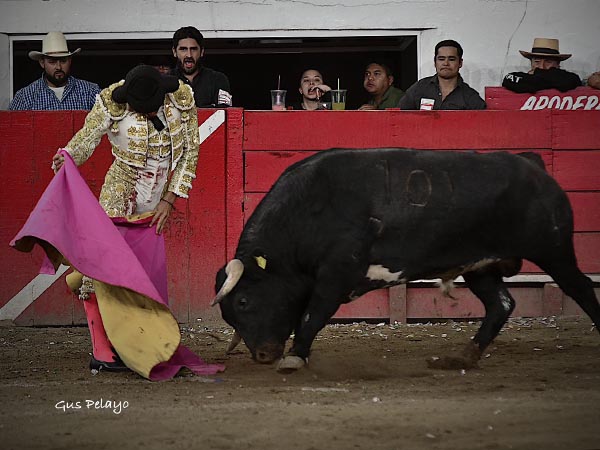 Sentimiento con el capote