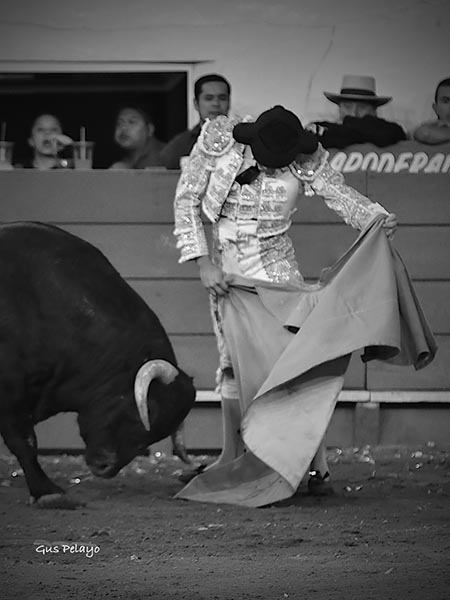 Firme ante el c�rdeno