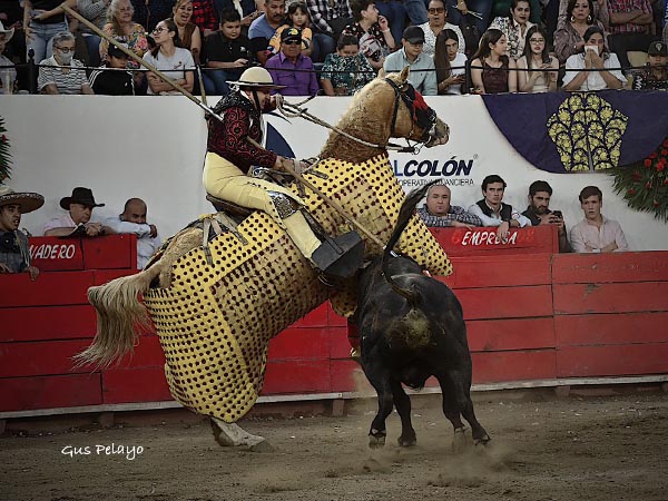 Intensa pelea en el peto