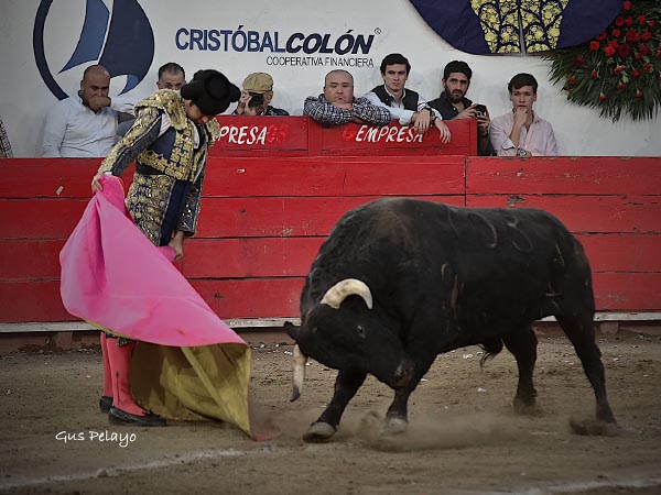 Ver�nicas en el saludo