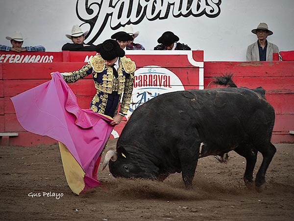 Los belfos en la arena