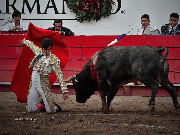 Enormes deseos de agradar