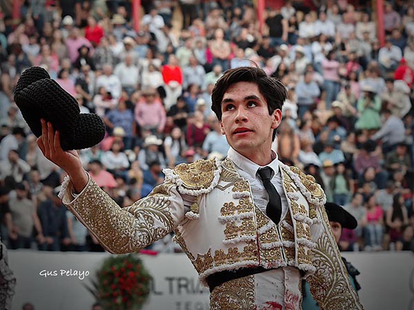 Recogiendo las palmas