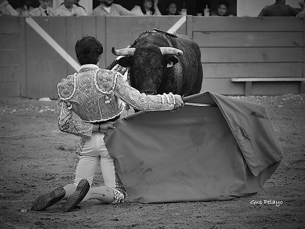 De hinojos ante el negro
