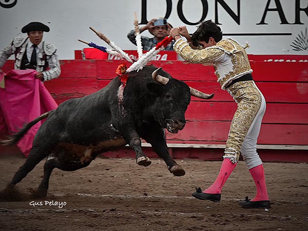 Luci� en el segundo tercio