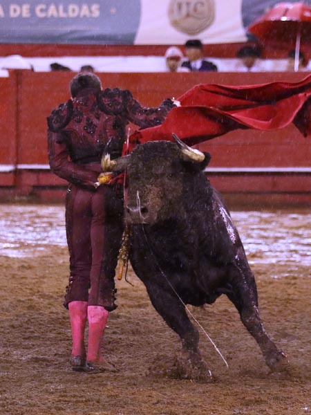 Ca�idas manoletinas