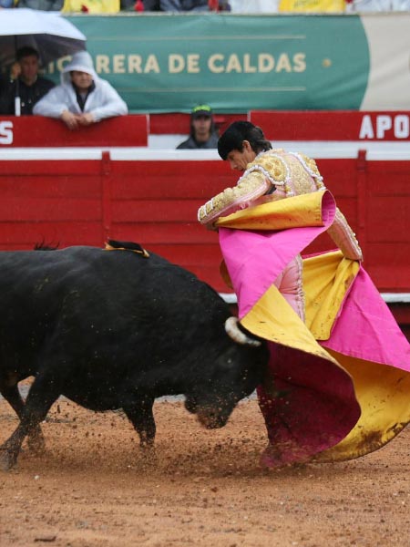 Chicuelinas en el quite