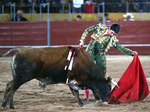 Codicioso por ambos pitones