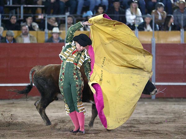 Luci� en las suertes de capote