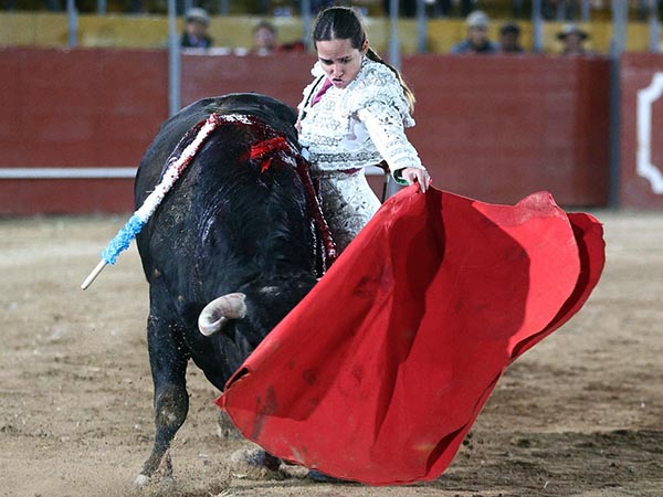 Ejemplar con arrobas