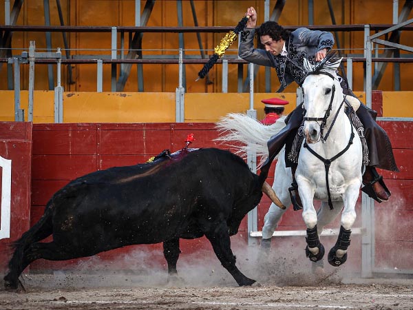 Valientes, jinete y jaca