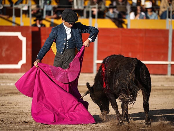 Chaval con repertorio