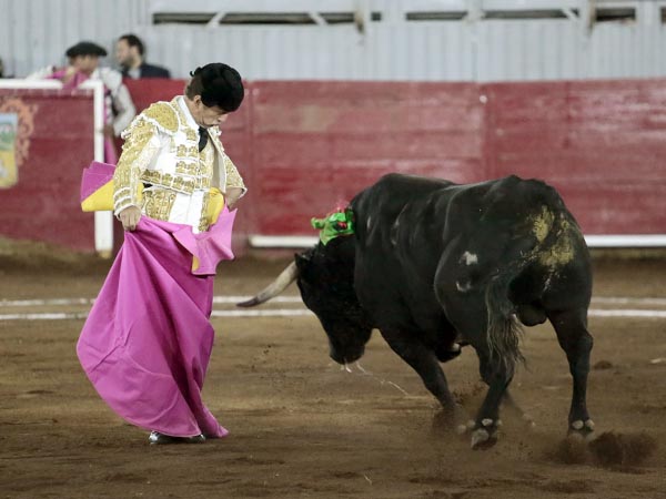 Chicuelinas en el quite