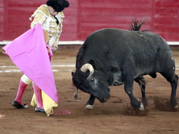 La codicia del c�rdeno