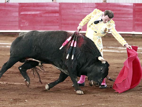 Bueno por el izquierdo