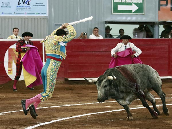 Maestro banderillero