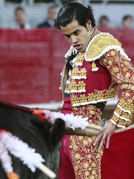 En los terrenos del toro