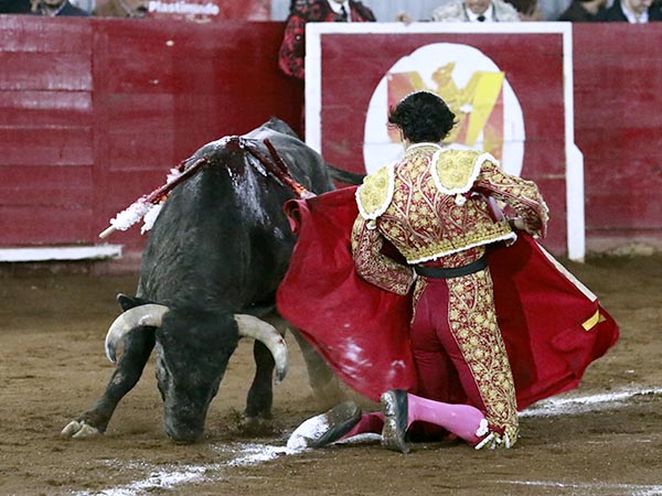De hinojos sobre las rayas
