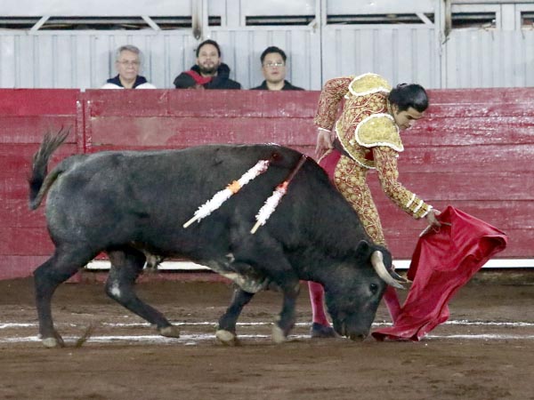 Las dosantinas de Diego