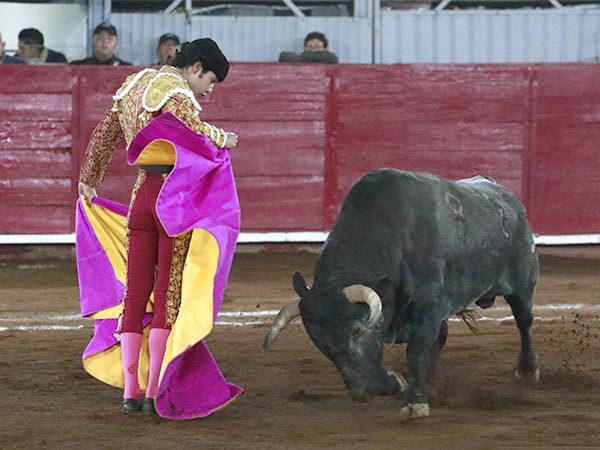 Chicuelinas en el quite