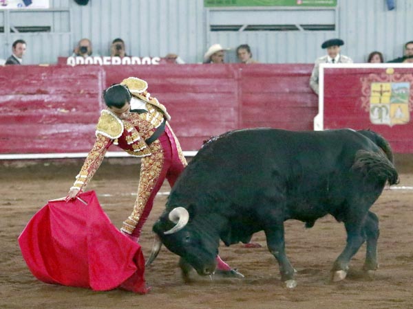 Acompasadas series por el derecho