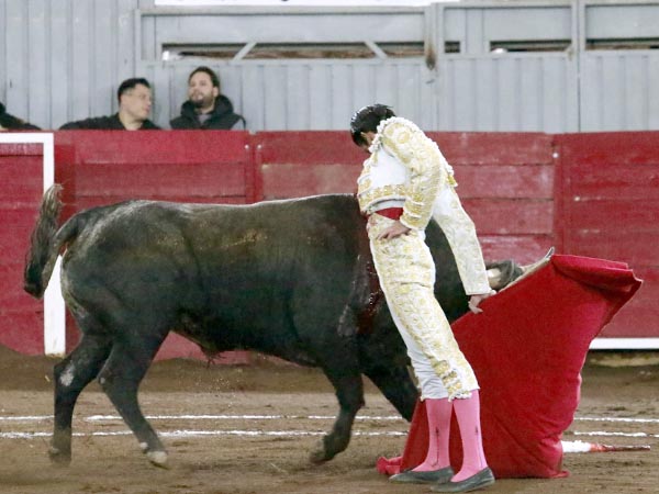 Amplio repertorio de Calita