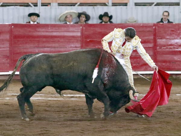 Muleta a media altura