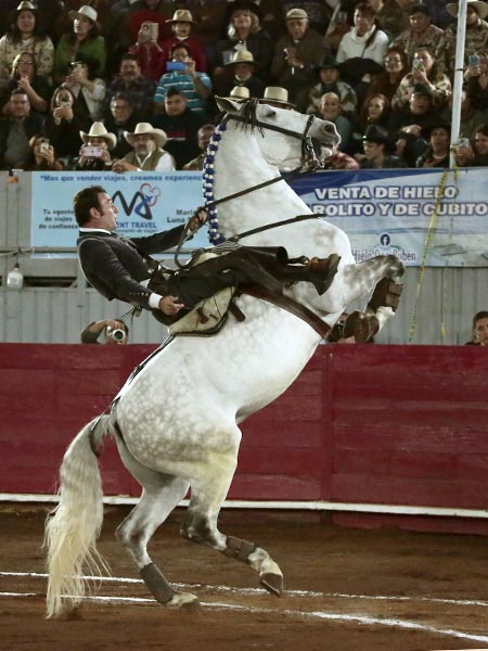 La alzada del rodado