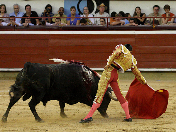Llevando al toro muy largo