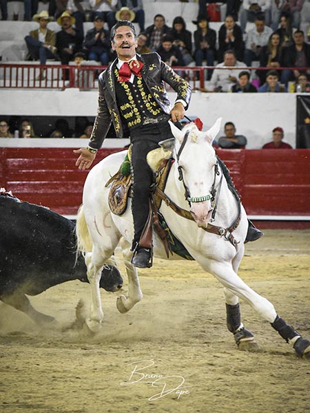 Regusto del caballista
