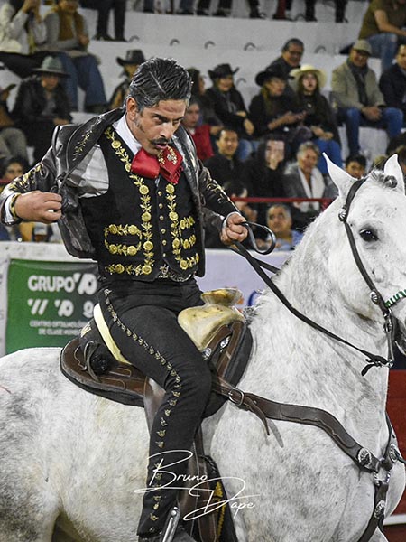 Conjunto de jaca y jinete