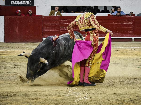 El quite por chicuelinas