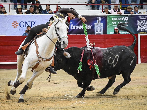 Oficiando al viol�n