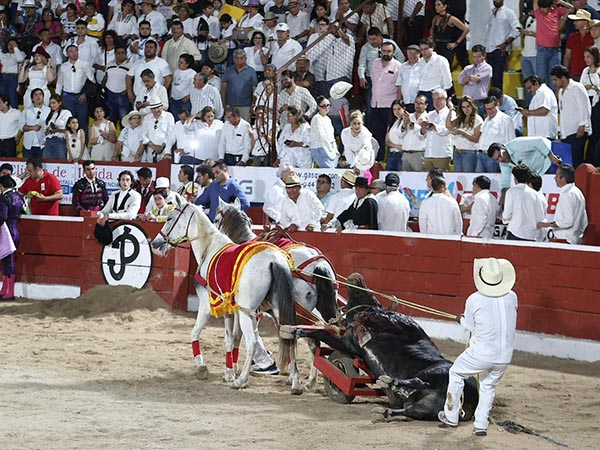 Magn�fico ejemplar de Caparica