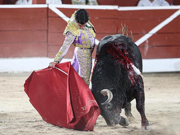 Ce�idas series por el derecho