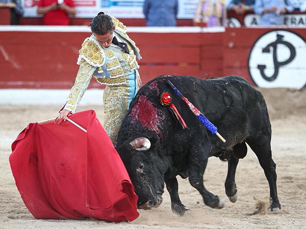 Imposible m�s reunido