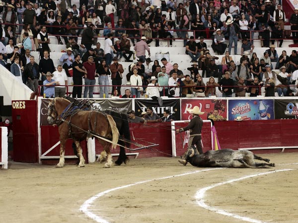 Ovaci�n de pie al ejemplar