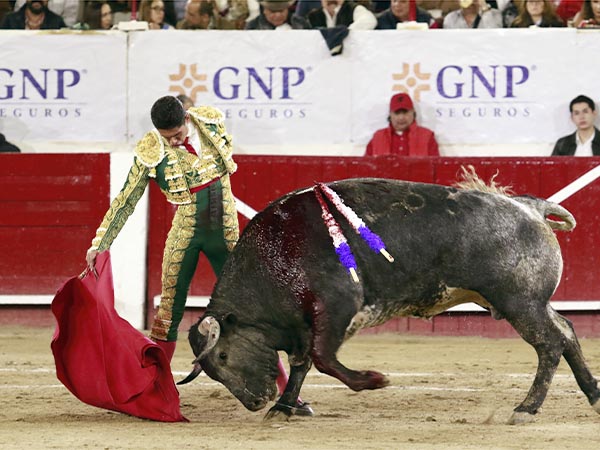 Nobleza del c�rdeno