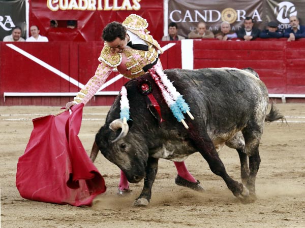 Largueza hidroc�lida