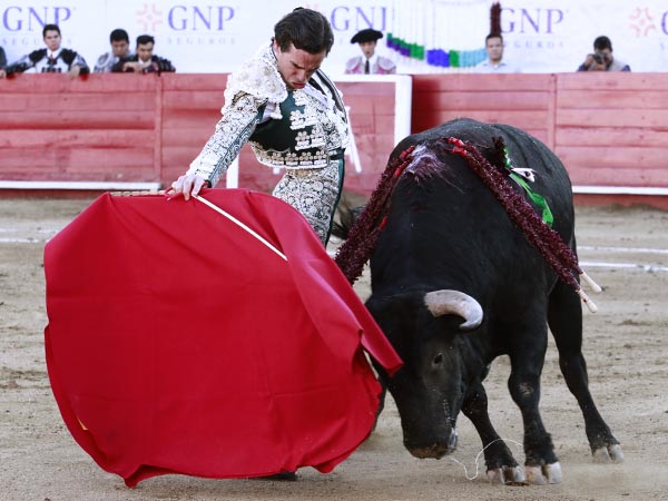 Dominio de las alturas