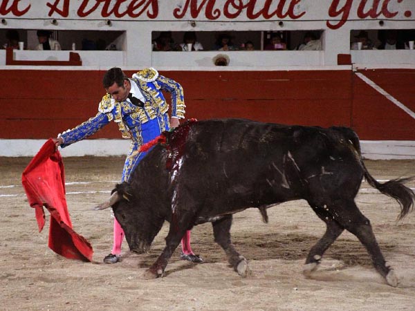 Ahormando la embestida