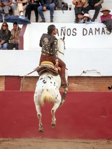 Las piruetas del corcel