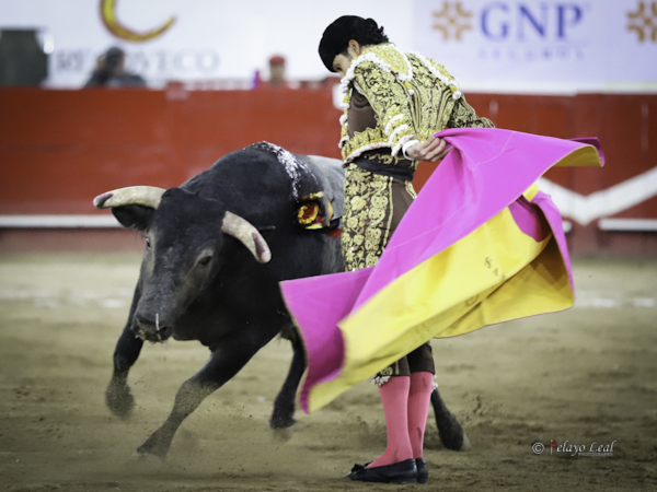 De frente por detr�s