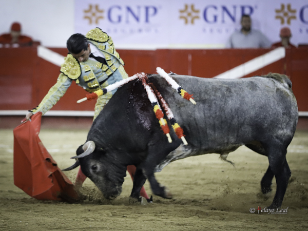 Templando por el derecho