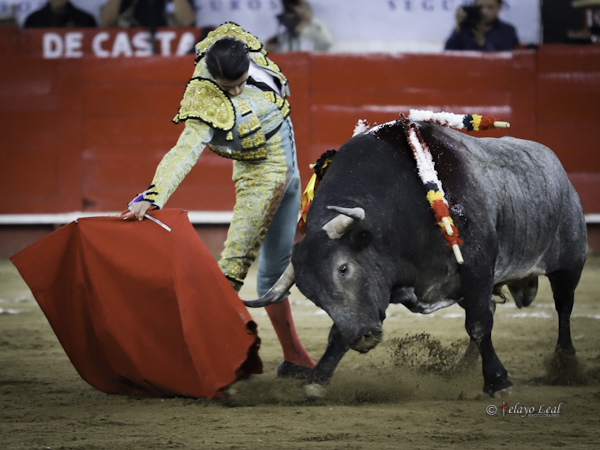 Un c�rdeno ofensivo