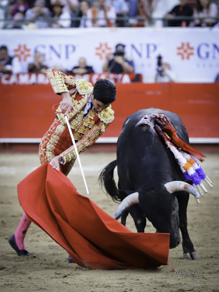 Filigranas salmantinas