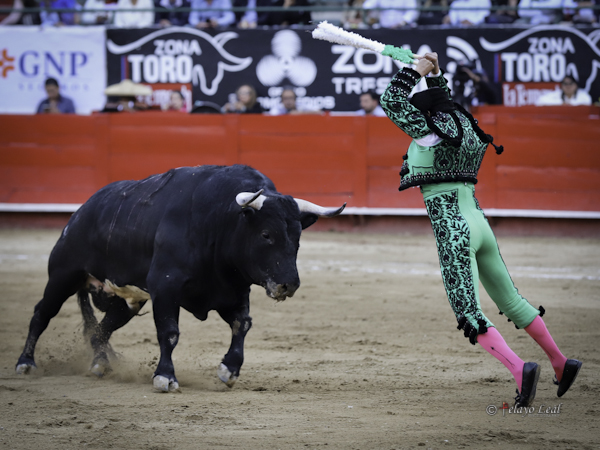 Cuadrando en la cara